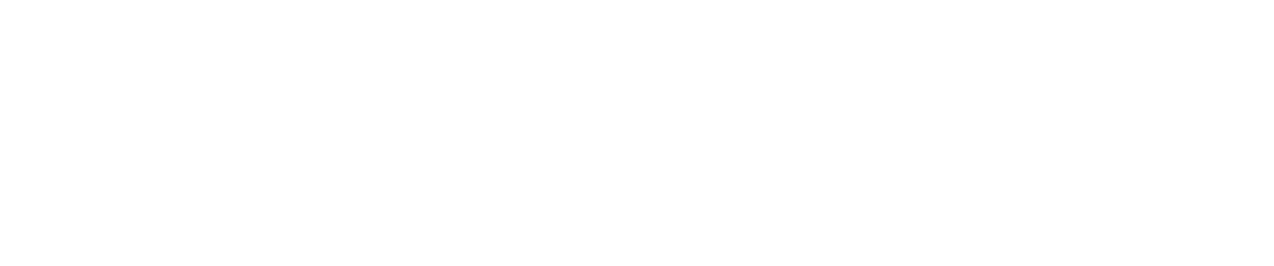 NeoNet